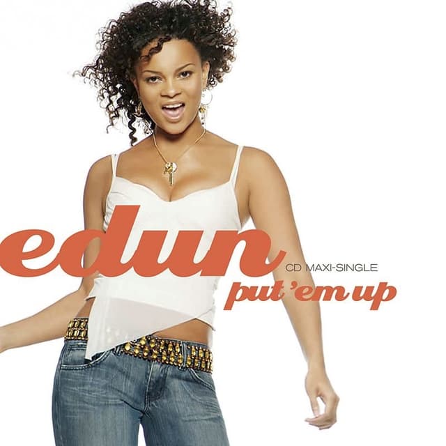 Album cover art for Put 'Em Up