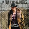 La Púa de los Alambres