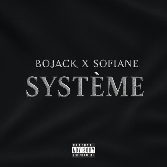 Album cover art for Système