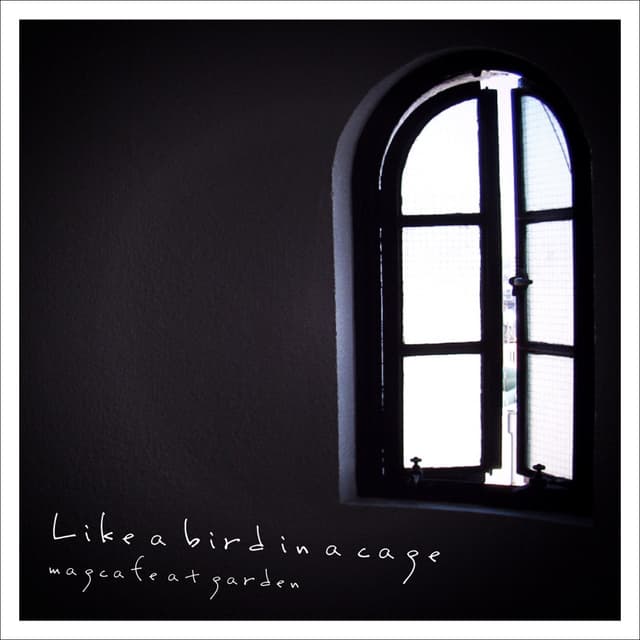 Album cover art for Like a Bird in a Cage - Single