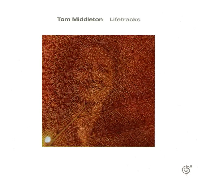Album cover art for Lifetracks