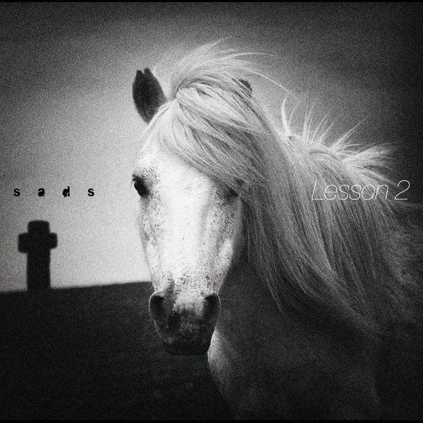 Album cover art for Lesson 2