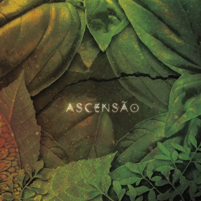 Album cover art for Ascensão