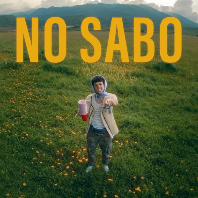 Album cover art for NO SABO