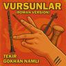 Vursunlar