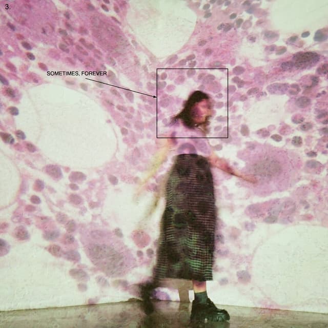 Album cover art for Shotgun