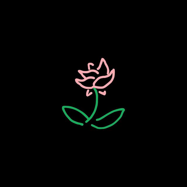 Album cover art for Des roses et des larmes