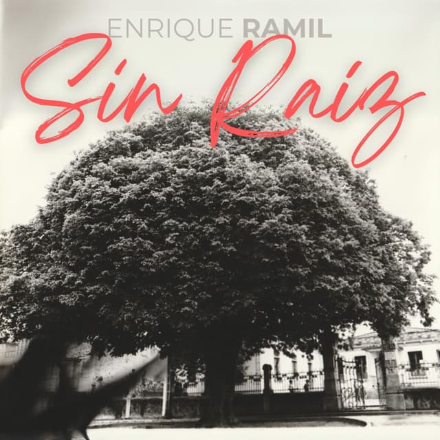 Album cover art for Sin raíz