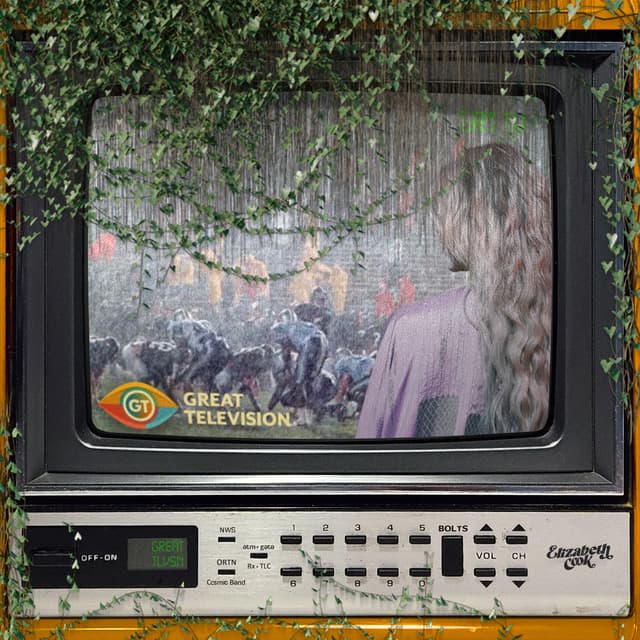 Album cover art for Great Television