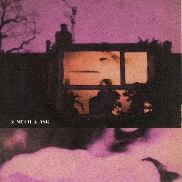 Album cover art for 2 Much 2 Ask