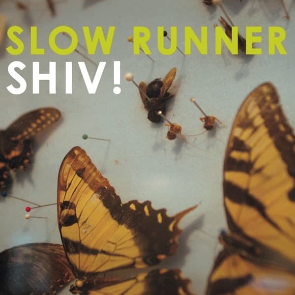 Album cover art for Shiv!