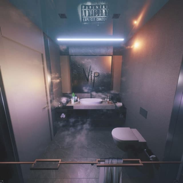 Album cover art for VIP