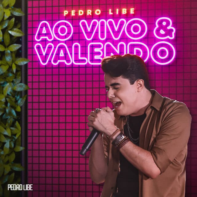 Album cover art for Ao Vivo & Valendo