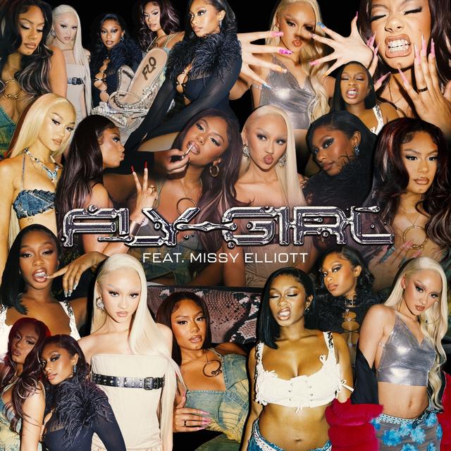 Album cover art for Fly Girl
