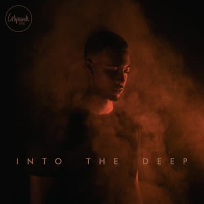 Album cover art for Into the Deep Live
