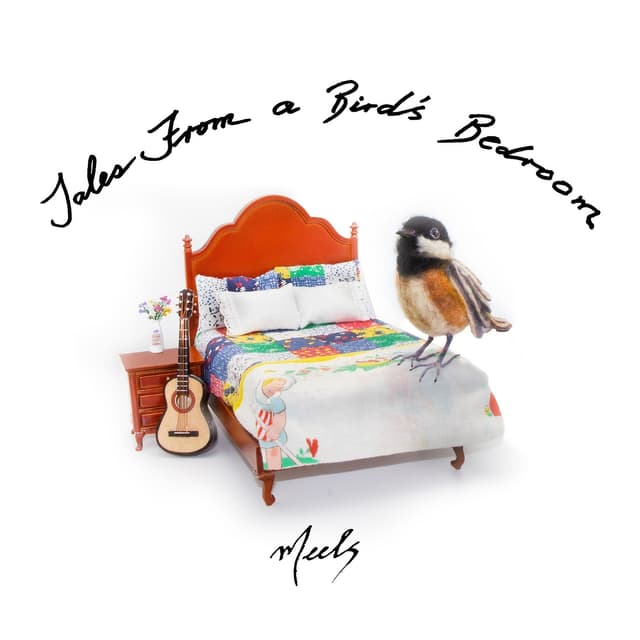 Album cover art for Tales from a Bird's Bedroom