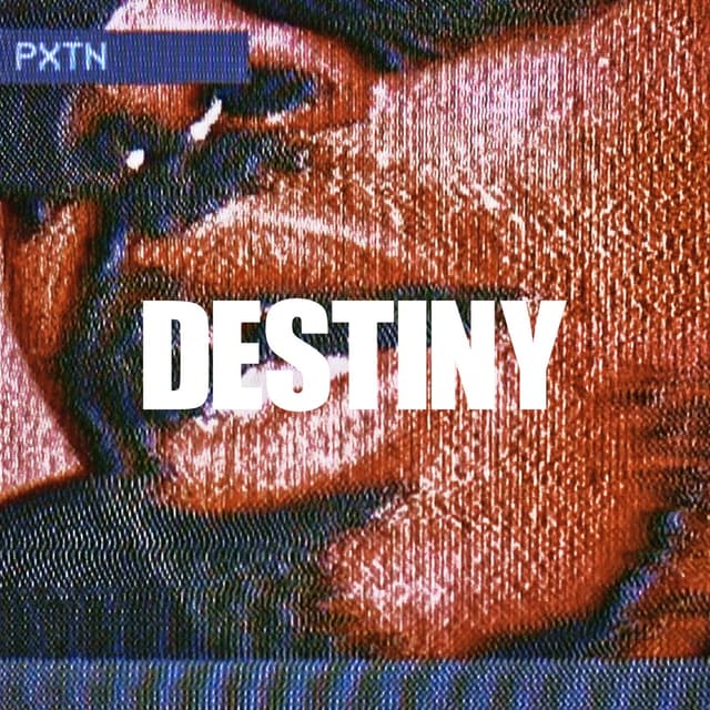 Album cover art for DESTINY