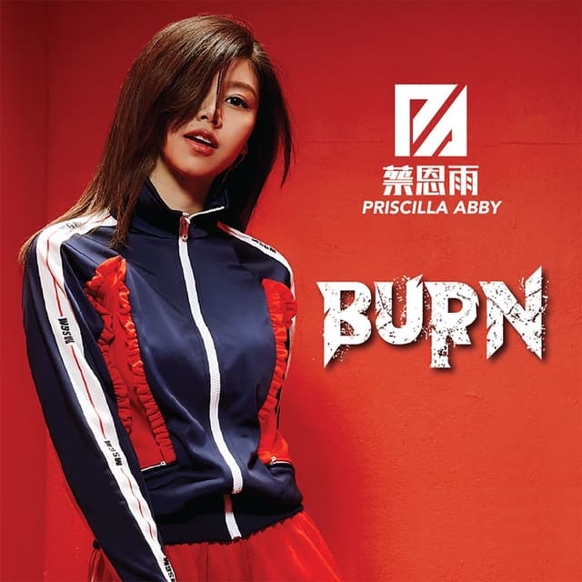 Album cover art for Burn