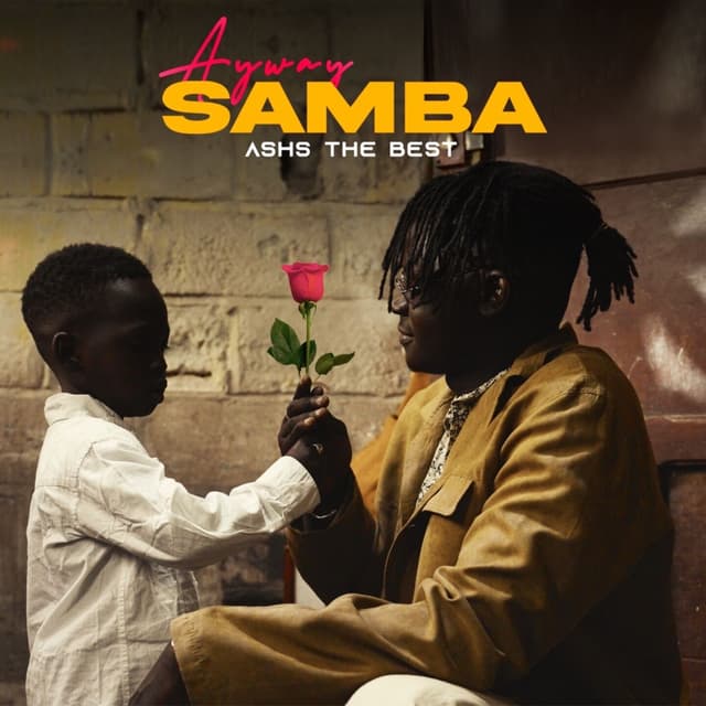 Album cover art for Ayway Samba