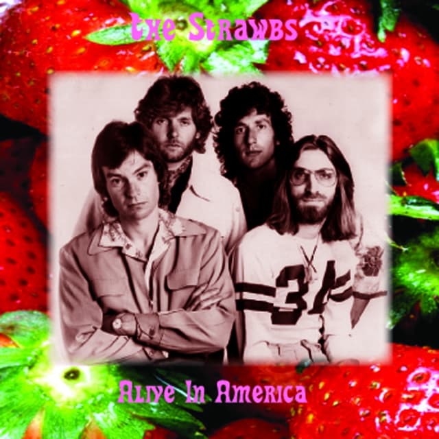 Album cover art for Alive in America