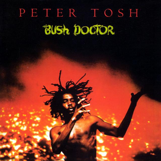 Album cover art for Bush Doctor