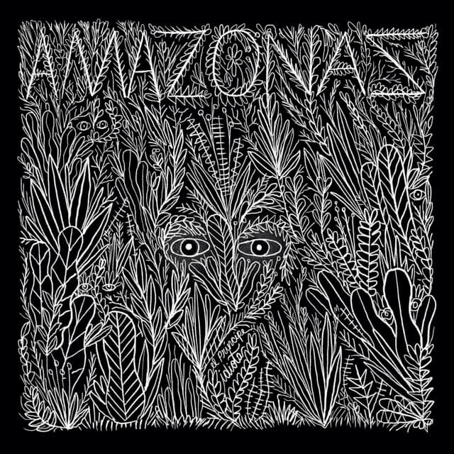 Album cover art for Amazonas