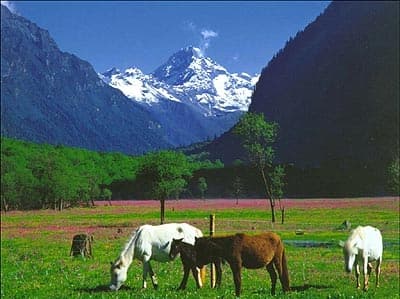 Album cover art for 四姑娘山