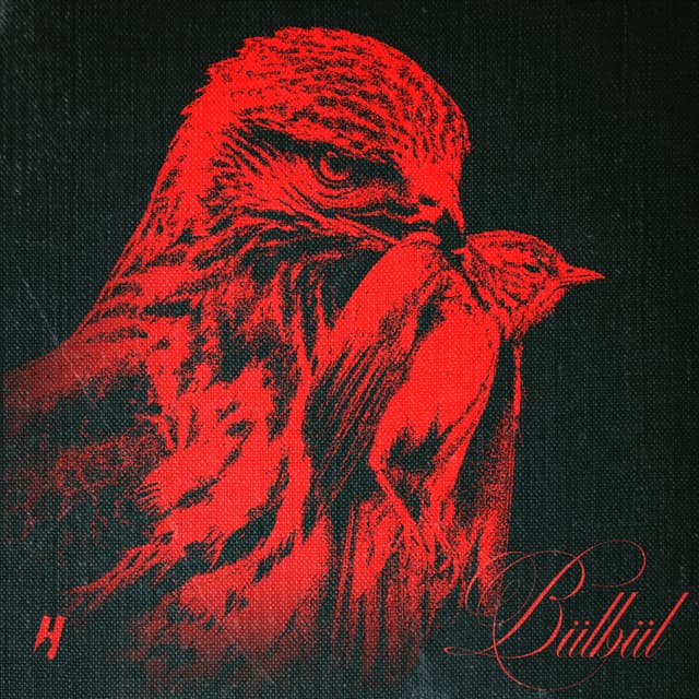 Album cover art for BÜLBÜL
