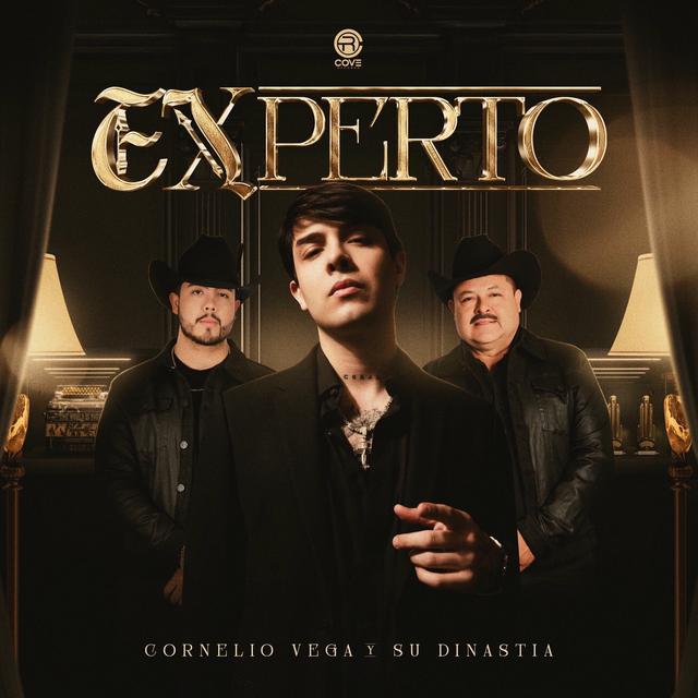 Album cover art for Experto