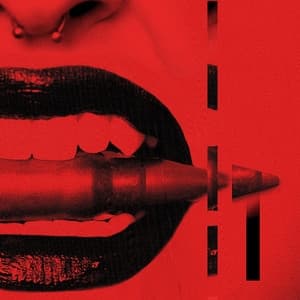 Album cover art for BULLET