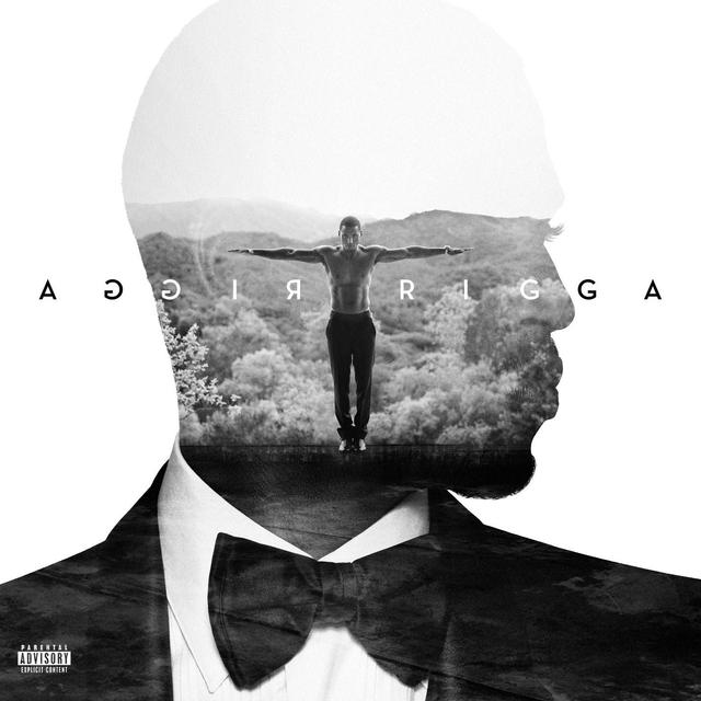 Album cover art for Trigga