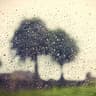 Under The Rain Clouds