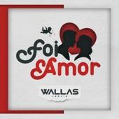 Album cover art for Foi Amor