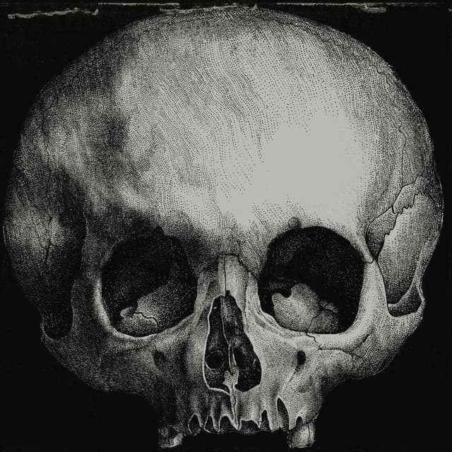 Album cover art for Stoned.Immaculate