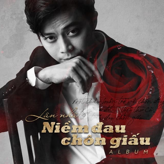 Album cover art for Niềm Đau Chôn Dấu