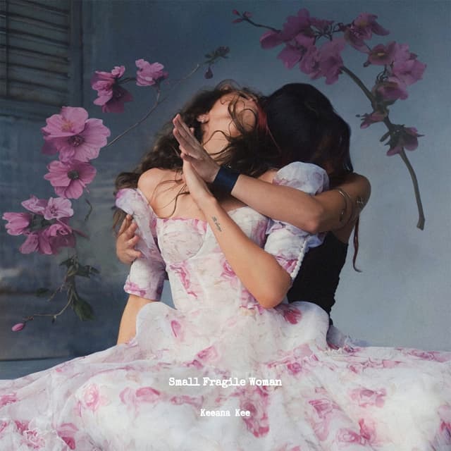 Album cover art for Small Fragile Woman