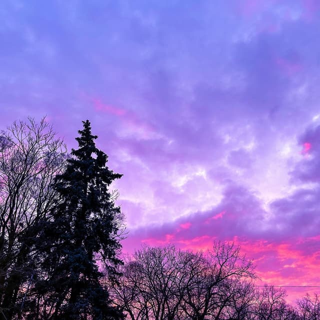 Album cover art for W