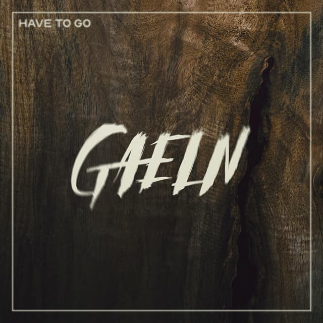 Album cover art for Have to Go