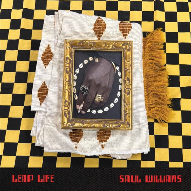 Album cover art for Leap Life