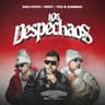 LOS DESPECHAOS