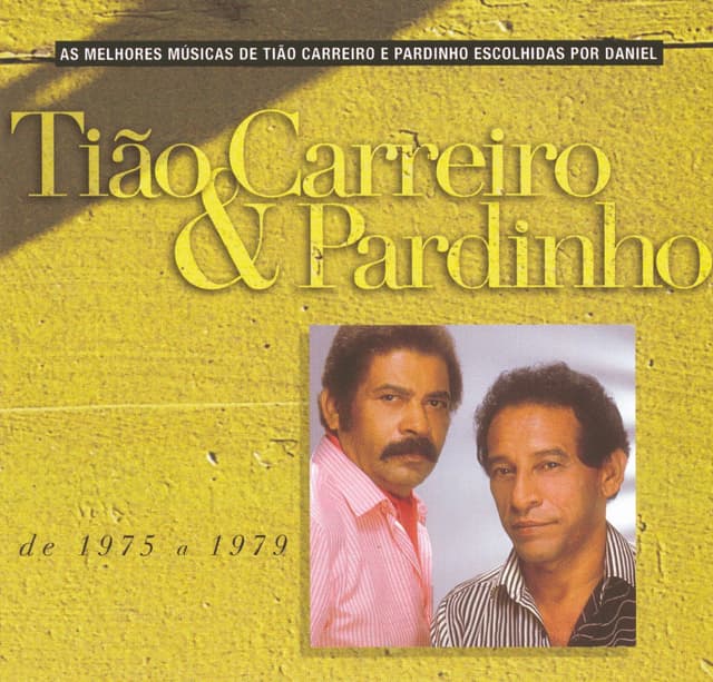 Album cover art for Seleção De Sucessos 1975 - 1979