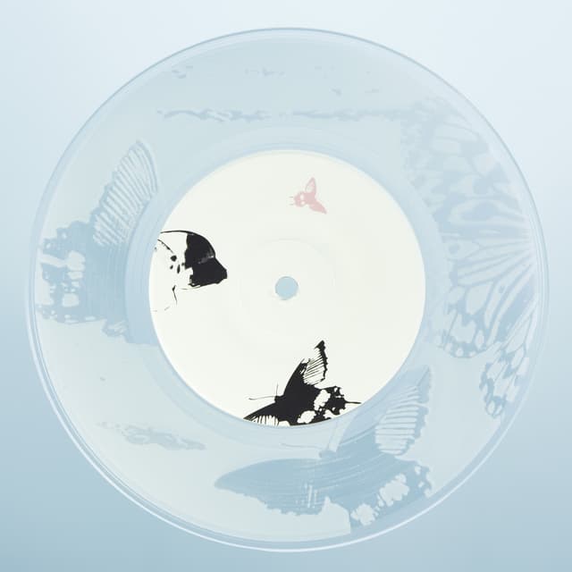 Album cover art for Lovely