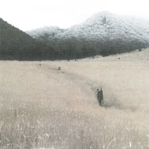 Album cover art for Two Lands