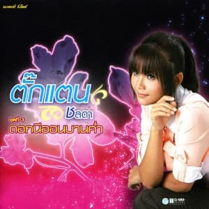 Album cover art for ชุดที่ 3 ดอกนีออนบานค่ำ