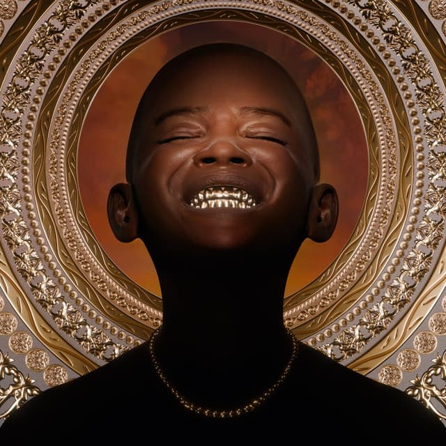 Album cover art for Gold II