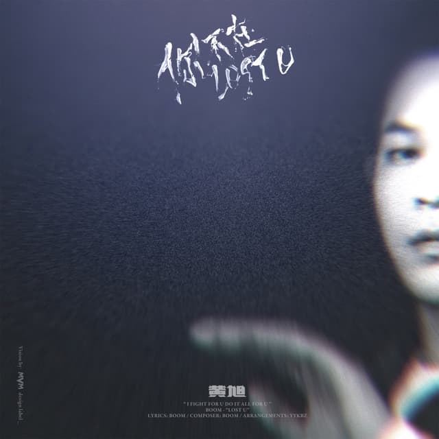 Album cover art for Lost U