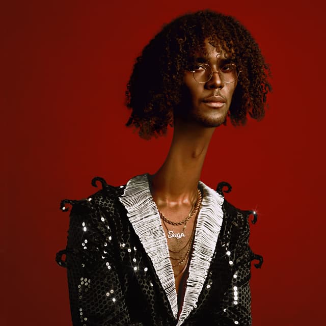 Album cover art for SUGA