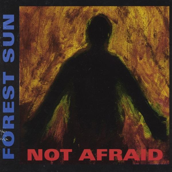 Album cover art for Not Afraid