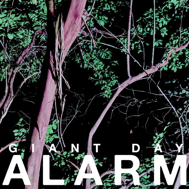 Album cover art for Alarm