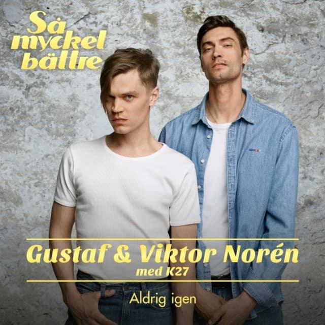 Album cover art for Aldrig Igen